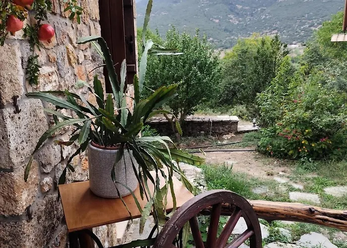 Velanidi Дом отдыха Stenon