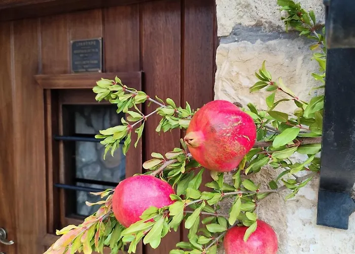 Dom wakacyjny Velanidi Stenon